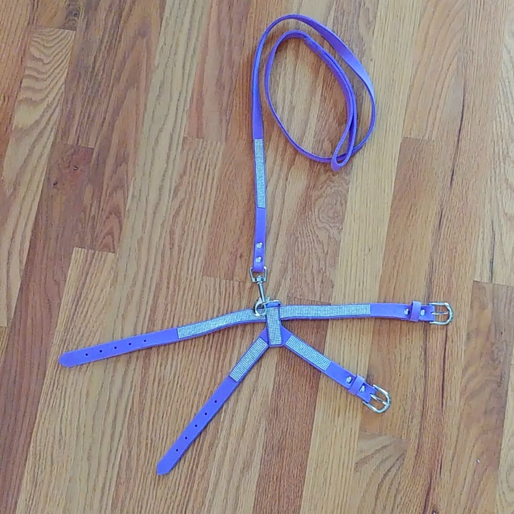 Blinged out purple harness & leash